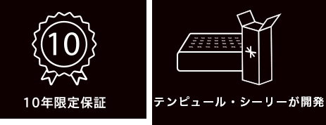 10年限定保証
