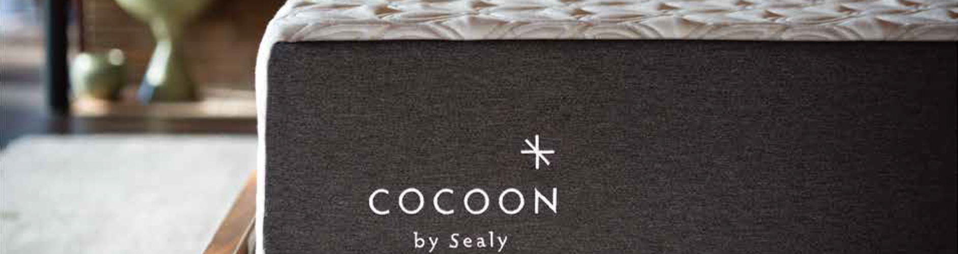 cocoon Friends